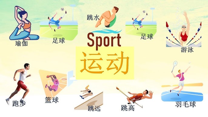 两条分